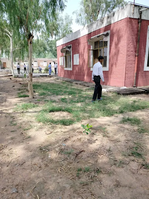 Govt Degree College Boys Chakri Picture 3