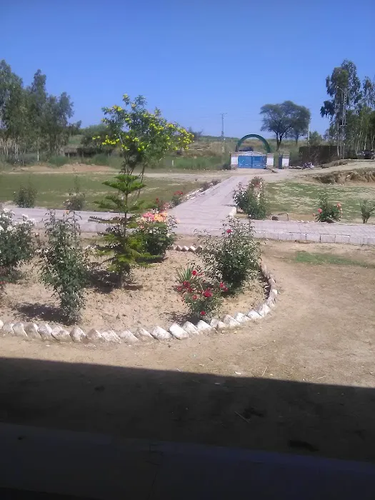 Govt. Degree College For Boys Chak Beli Khan Picture 1
