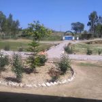 Govt. Degree College For Boys Chak Beli Khan