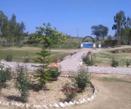 Govt. Degree College For Boys Chak Beli Khan