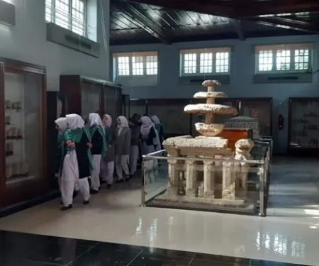 Wings Model Schooland College For Girls