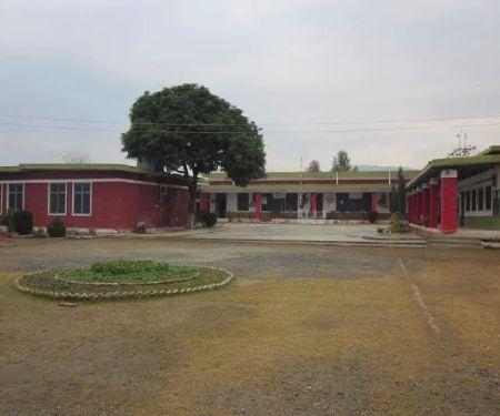Government High School
