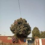 Govt Primary School Qazian