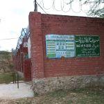 Govt girls Primary school dhok Ali Muhammad