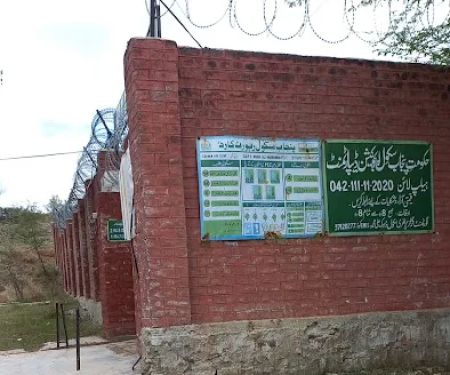 Govt girls Primary school dhok Ali Muhammad