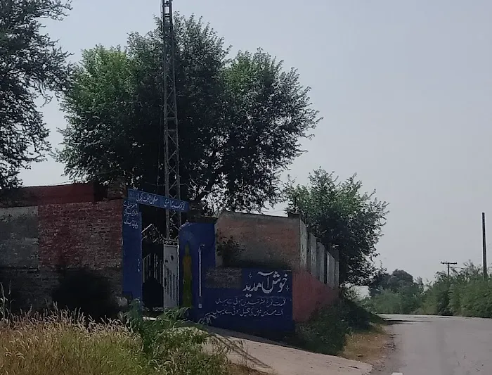 Government Primary School Dhoke Gondal Picture 1