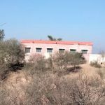 Government girls primary school dhoke Shreen