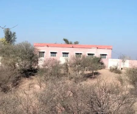 Government girls primary school dhoke Shreen
