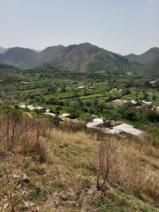 Govt Primary School Bandi Barseen Picture 7