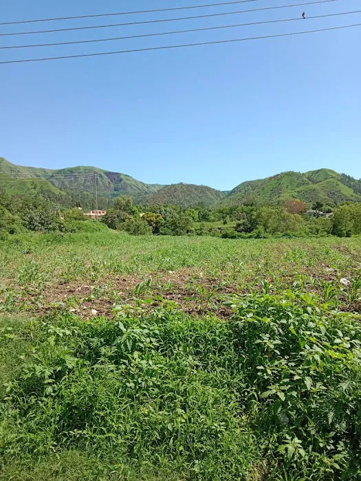 Govt Primary School Bandi Barseen Picture 8