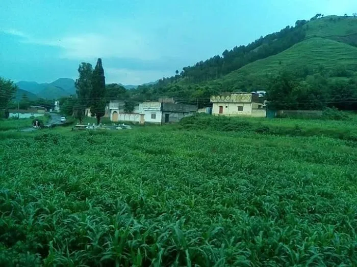 Govt Primary School Bandi Barseen Picture 6