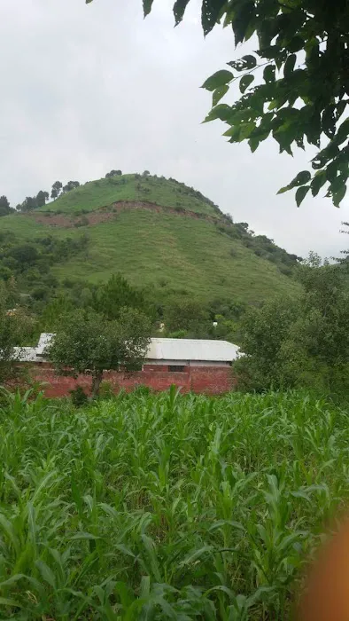 Govt Primary School Bandi Barseen Picture 2