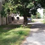 Government College of Technology Jhelum