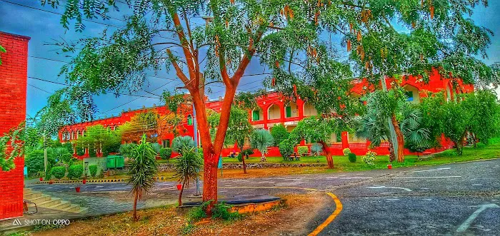 University of the Punjab, Jhelum Campus Picture 8