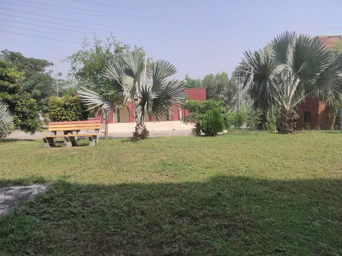 University of the Punjab, Jhelum Campus Picture 9