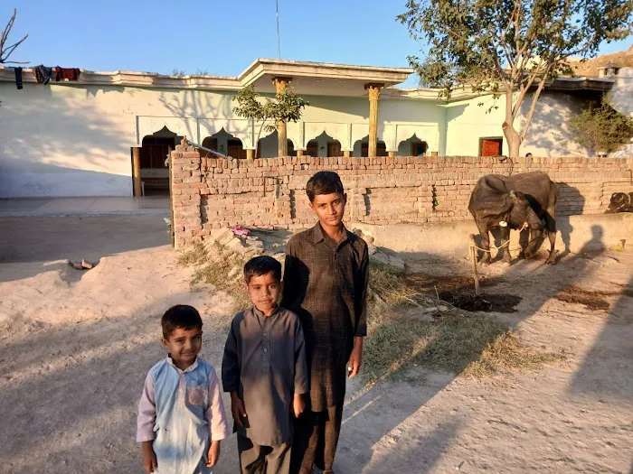 Govt. Primary School Dhoke Shera Picture 8