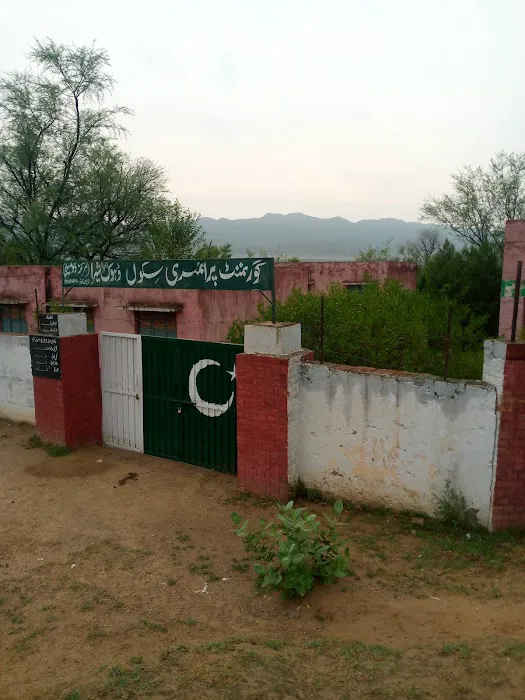 Govt. Primary School Dhoke Shera Picture 3