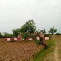 Govt. Primary School Dhoke Shera ico