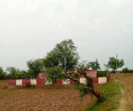 Govt. Primary School Dhoke Shera
