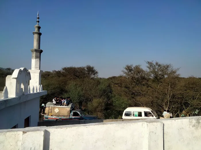 Govt. Primary School Dhoke Shera Picture 4