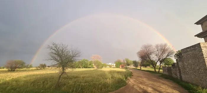 Government Primary School dhoke biddar Picture 1