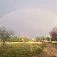 Government Primary School dhoke biddar ico