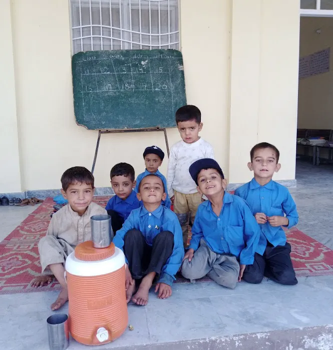 Govt primary school (girls ) Picture 2