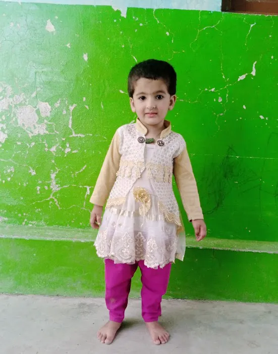 Govt primary school (girls ) Picture 1