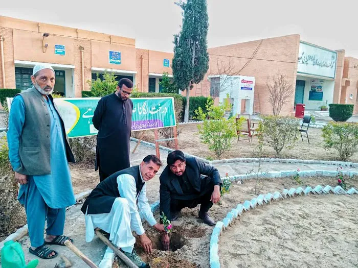 Govt.Degree College Pindigheb (B) (Attock) Picture 5