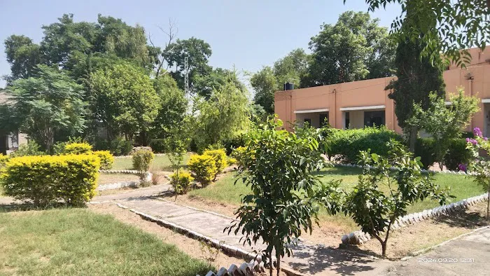 Govt.Degree College Pindigheb (B) (Attock) Picture 6