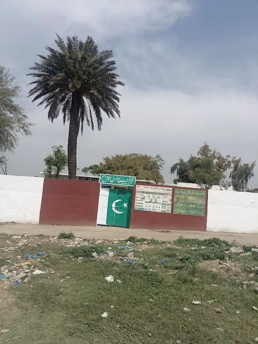 Government Primary School (Boys) Picture 3