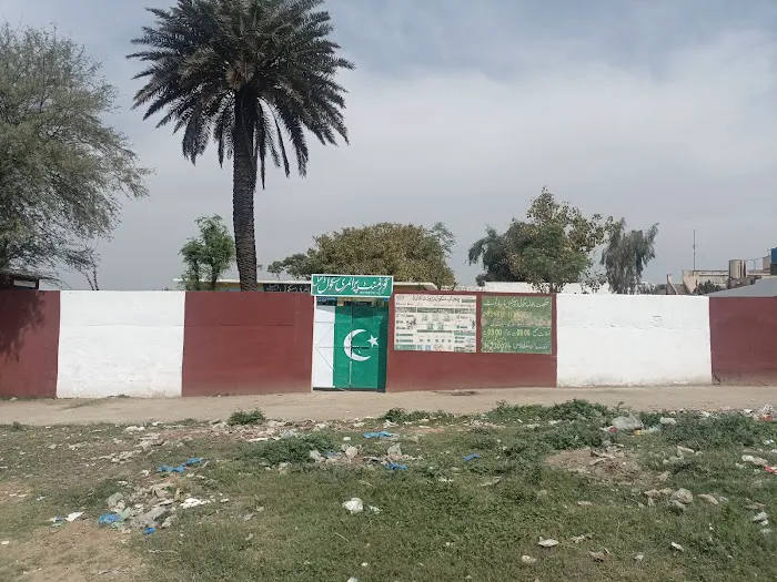 Government Primary School (Boys) Picture 1