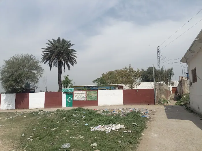 Government Primary School (Boys) Picture 2