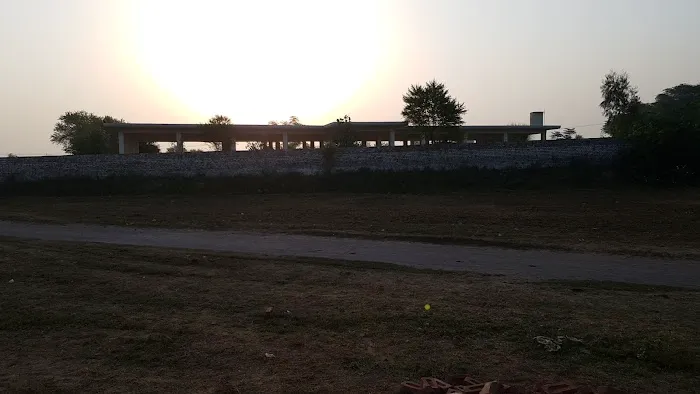 Govt Girls Primary School Picture 1