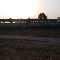 Govt Girls Primary School ico