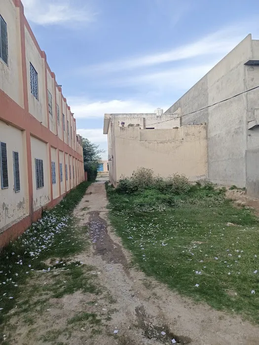 New Punjab Commerce College Picture 1