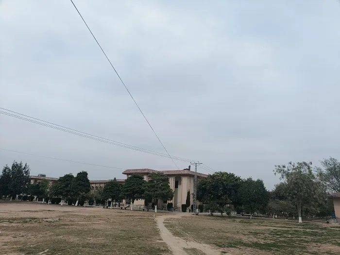 Govt.Graduate.College, Sarai Alamgir Picture 6