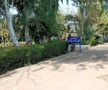 Government Tameer-E-Millat High School