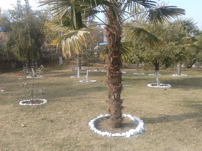 Govt: Technical & Vocational Centre (Boys) Abbottabad Picture 2