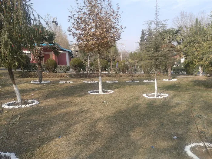 Govt: Technical & Vocational Centre (Boys) Abbottabad Picture 5