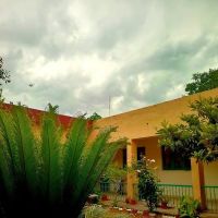 Rawalpindi Women University ico