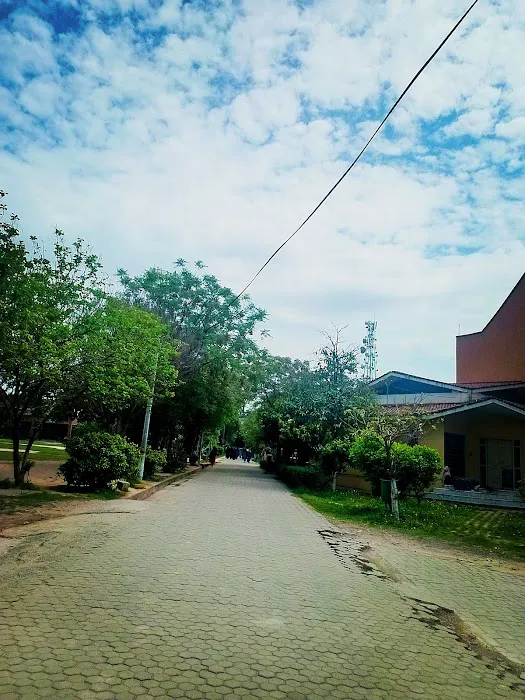 Rawalpindi Women University Picture 5