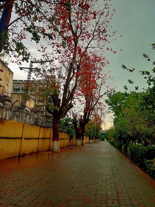 Rawalpindi Women University Picture 4