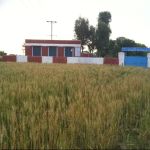 Govt. Boys Primary School, Dhoke Dhullu