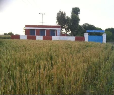 Govt. Boys Primary School, Dhoke Dhullu