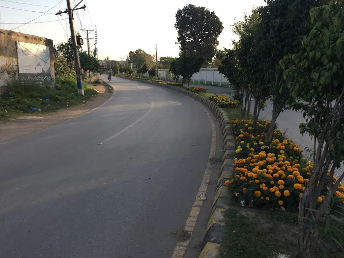 Govt Associate College for women Civil Lines Jhelum Picture 5