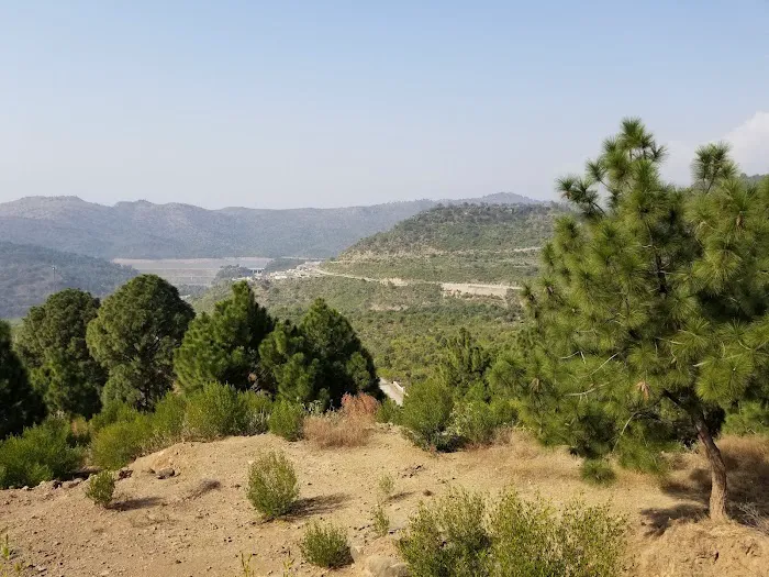 Al-Nahl university Picture 1