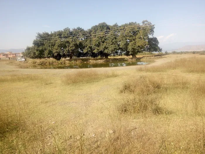 Govt Girls Degree College Mankara Picture 4