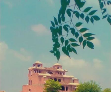 Govt. Primary School, Pindi Alhani
