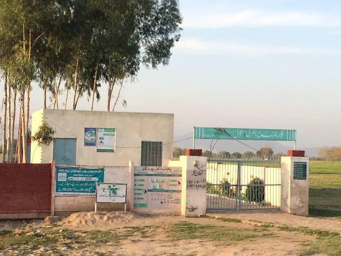 Government Primary School Kot Admana گورنمنٹ پرائمری سکول کوٹ آدمانہ Picture 6